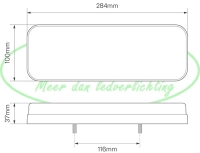 LED Neon combinatielicht links kabel 12/24v